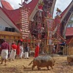 Celebration of a house (Mangrana banua)