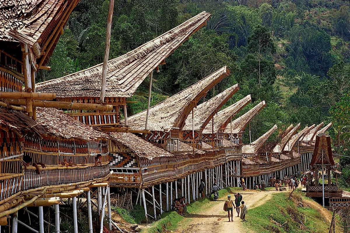 Toraja Culture