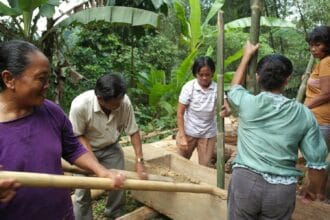 Ritual Rice Pounding in Lemo, Tana Toraja