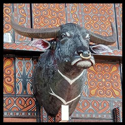 115. Kabongngo’ - Ornamen Rumah Toraja
