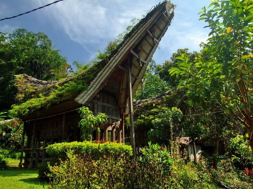 Lemo Tana Toraja