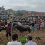 Bolu Market Day