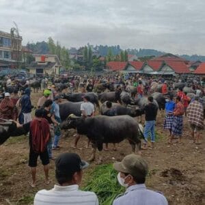 Bolu Market Day