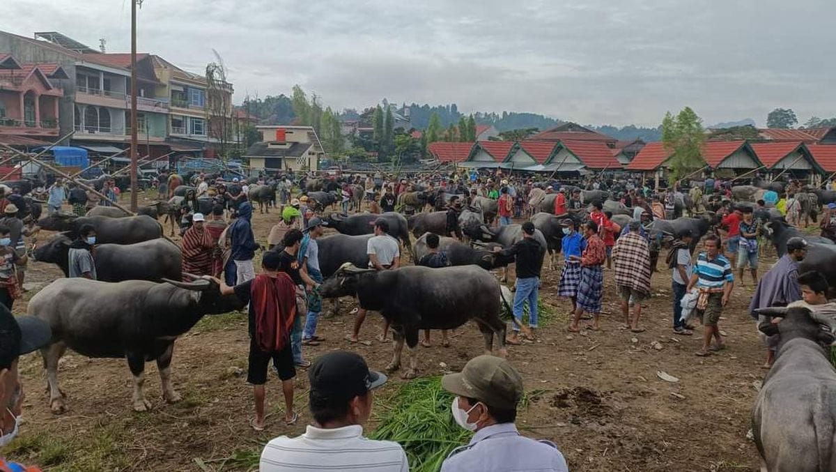 Bolu Market Day