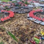 Buffalo forsale at Bolu Market