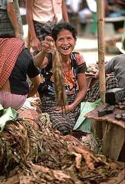 Newsletter Toraja Info