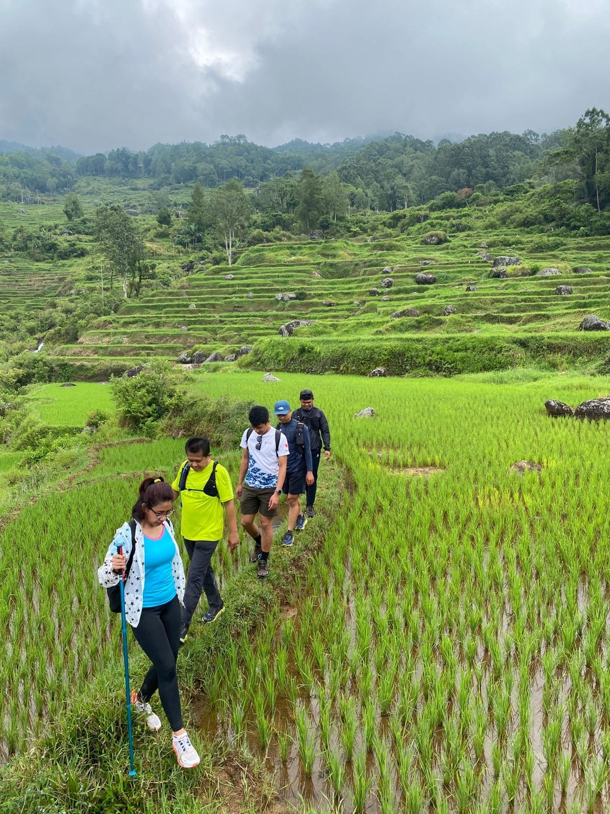 Trekking through the rice fields in Batutumonga