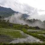 Batutumonga and the misty valley