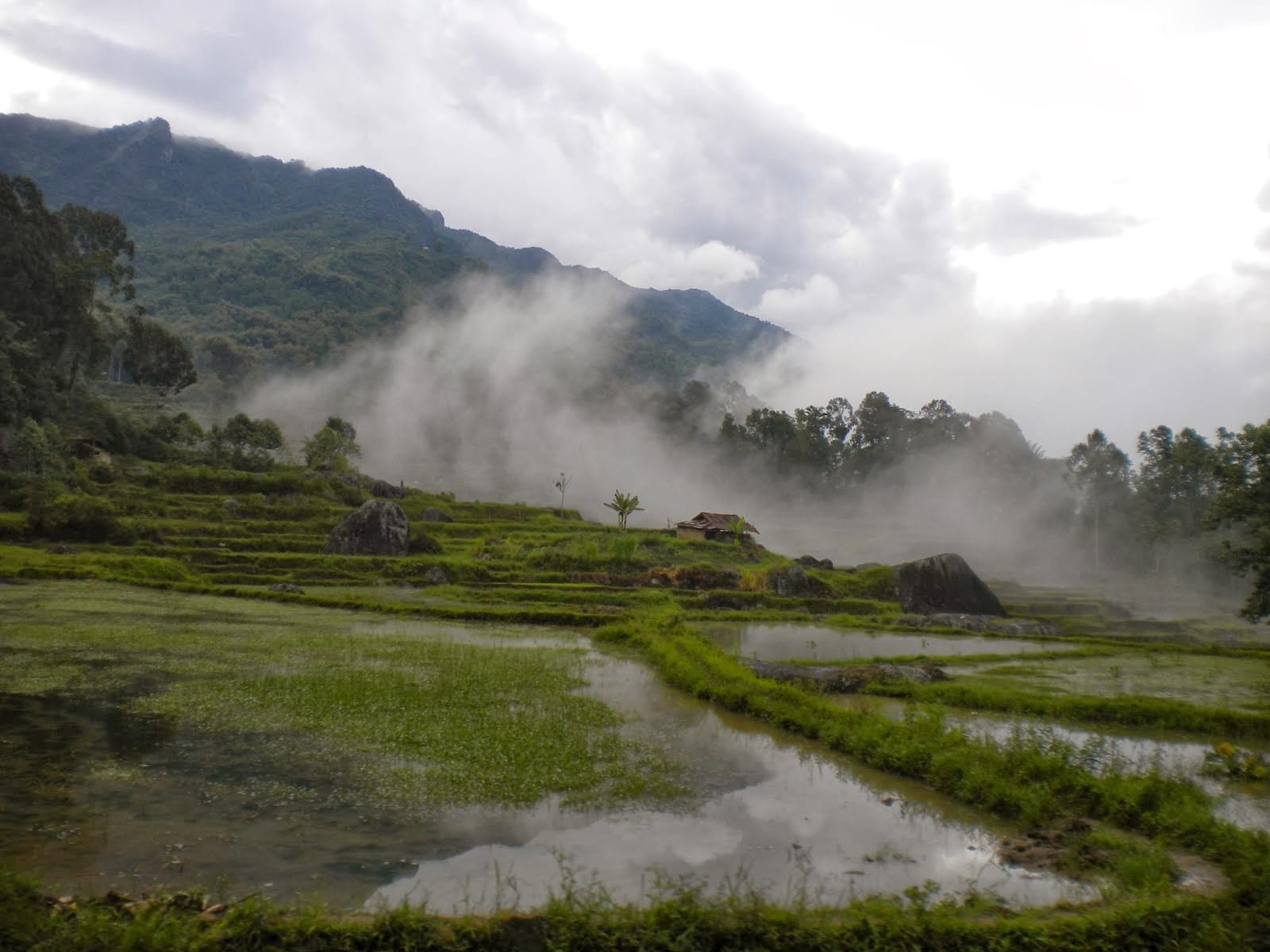 Batutumonga and the misty valley