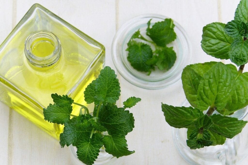 Use of Natural Repellants
