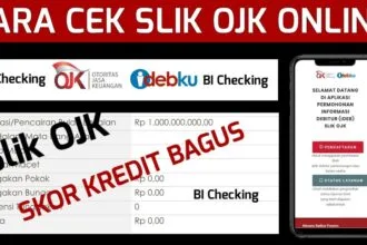 Panduan Cara Cek BI Checking Online