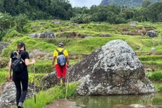 Daftar Tur Guide Toraja
