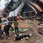 Rambu Solo’ Alm. Tarruk Bua’ Manda’ Pakaa’ & Almh. Tumbang Manipa