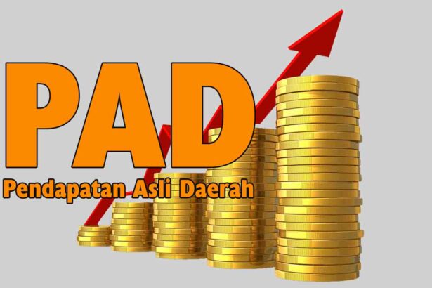 Mengenal Lebih Dalam Sumber-sumber Pendapatan Daerah (PAD)