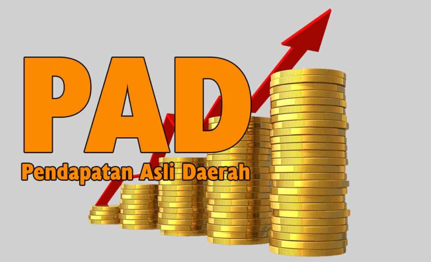 Mengenal Lebih Dalam Sumber-sumber Pendapatan Daerah (PAD)