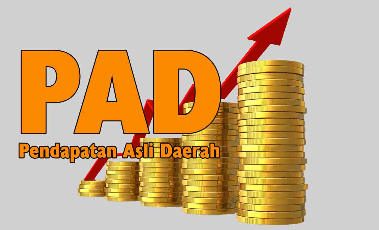 Mengenal Lebih Dalam Sumber-sumber Pendapatan Daerah (PAD)