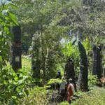Rambu Solo’ Almh. Helena Pongsibidang (Ne’ Sarna)