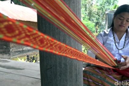 Teknik tenun kartu atau disebut juga dengan Pallawa merupakan tenik tenun tradisional Mamasa