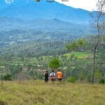 Mapongka Trail Run (Lari Lintas Alam) 2025 (3)