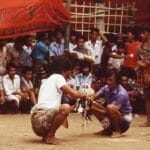 Tradisi Bulangan Londong Toraja